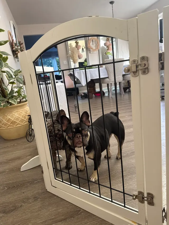 TruBug Pest Control — customer photo 12