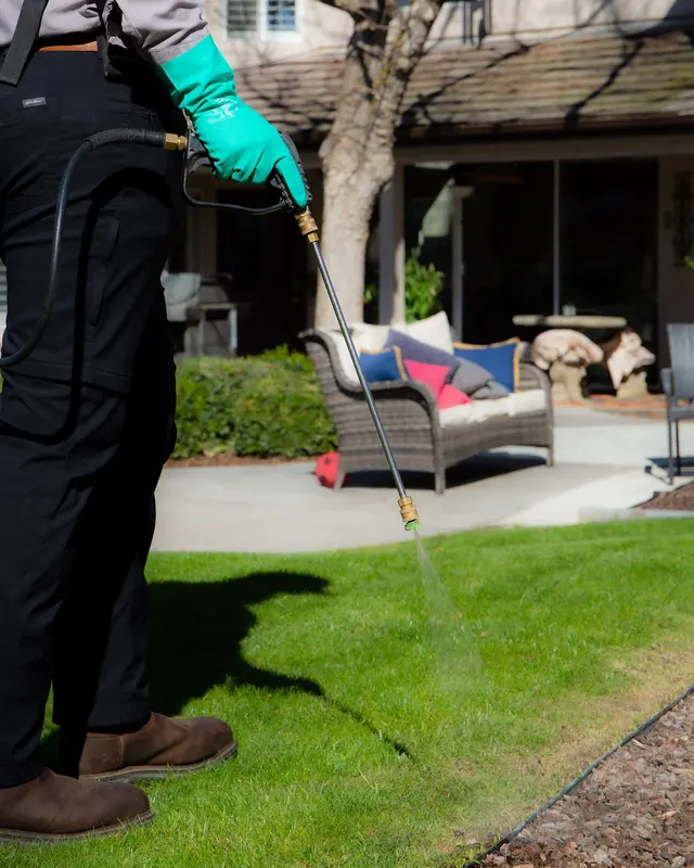 TruBug Pest Control — photo from the business 2