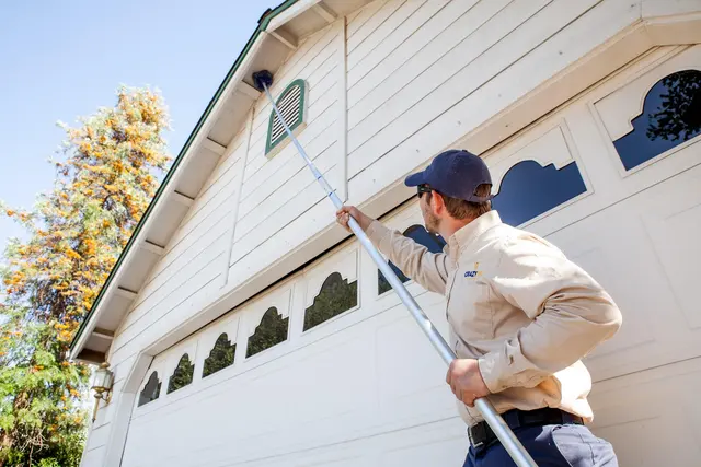 Crazy Ant Pest Control — photo from the business 8