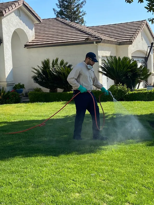 Crazy Ant Pest Control — photo from the business 2