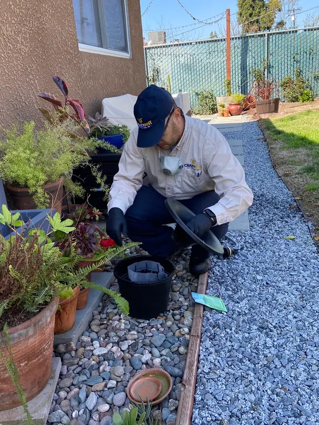 Crazy Ant Pest Control — photo from the business 9