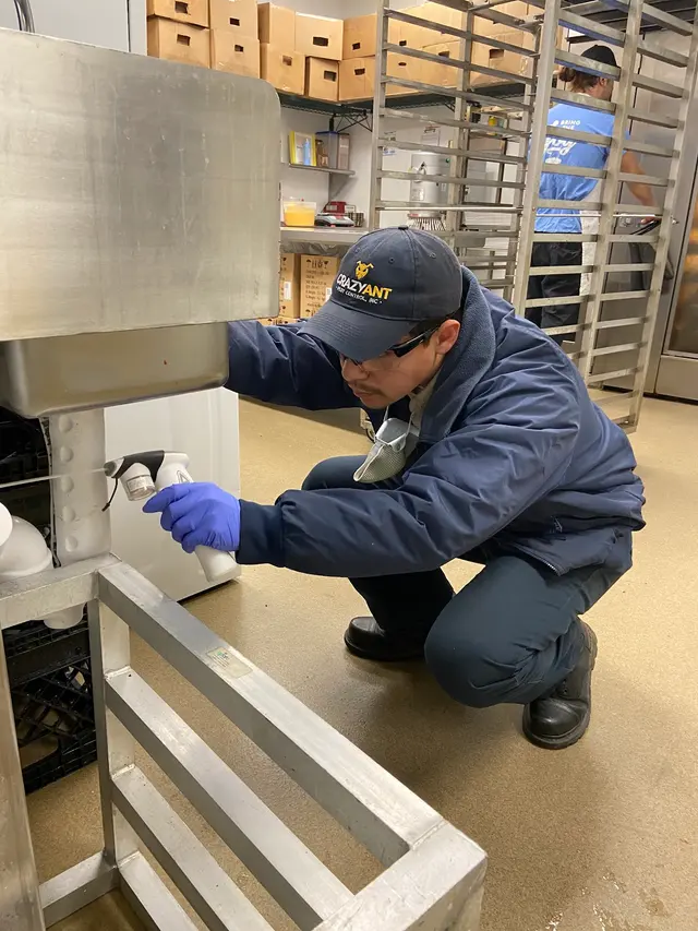 Crazy Ant Pest Control — photo from the business 6
