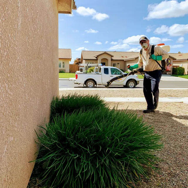 Crazy Ant Pest Control — photo from the business 12