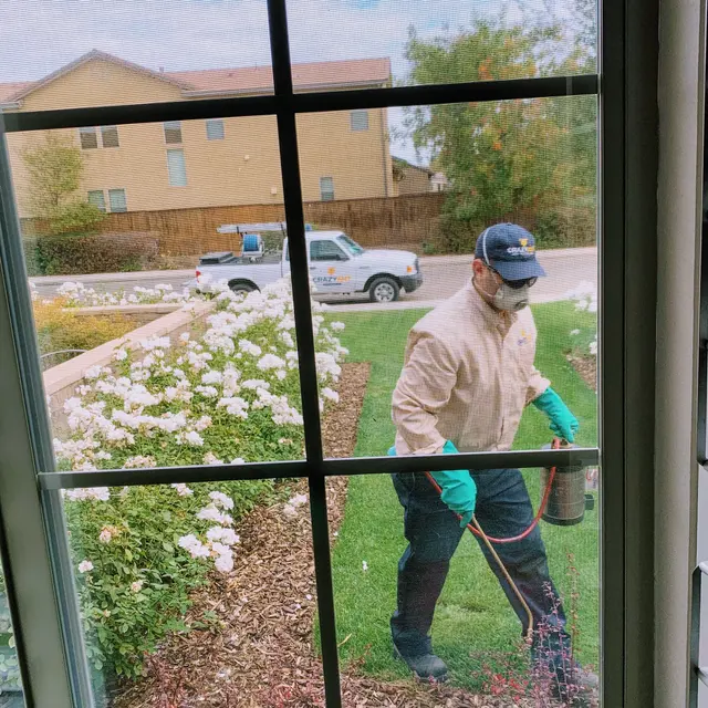 Crazy Ant Pest Control — photo from the business 5