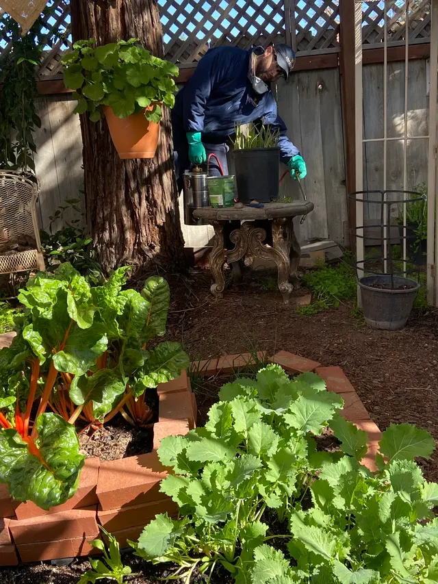 Crazy Ant Pest Control — photo from the business 10