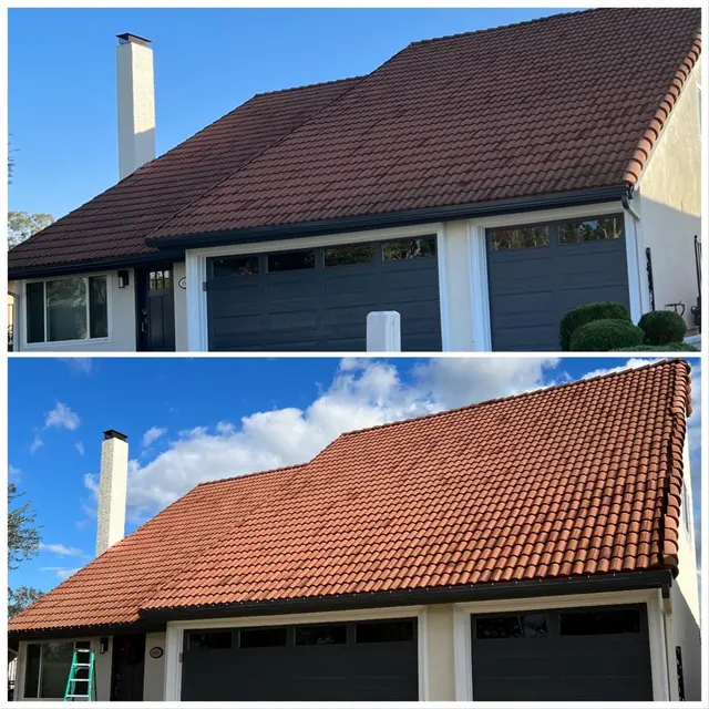 Crocodile Window Cleaning & Pressure Washing — photo from the business 3