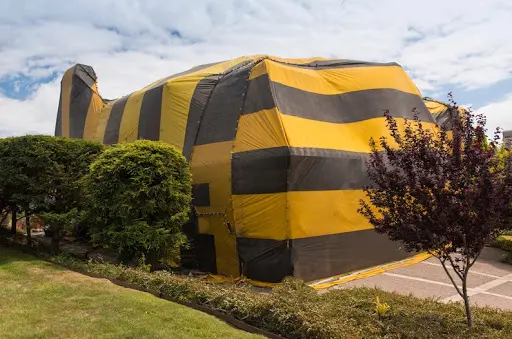 Dustin Pest Control — photo from the business 3