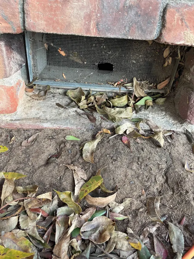 Dustin Pest Control — photo from the business 10