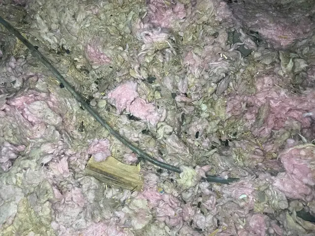 Dustin Pest Control — photo from the business 9