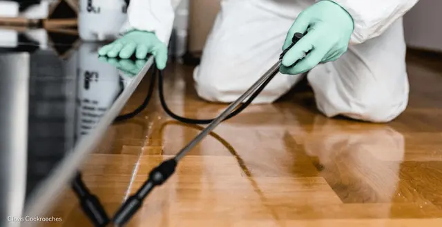 EagleShield Pest Control of Clovis — photo from the business 9