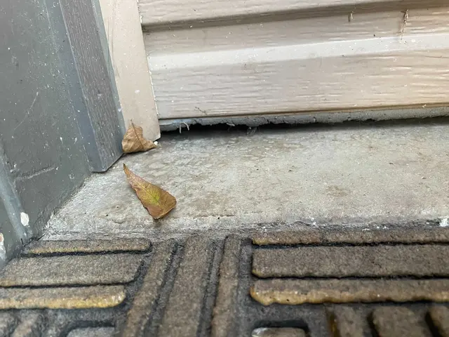 Dustin Pest Control — photo from the business 5