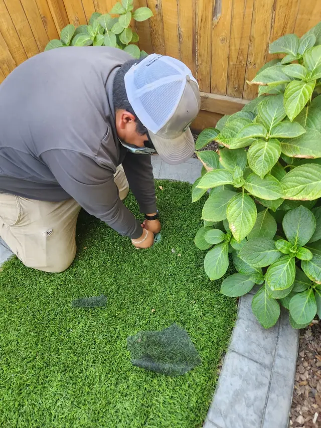 Valley Integrated Pest Control — photo from the business 8