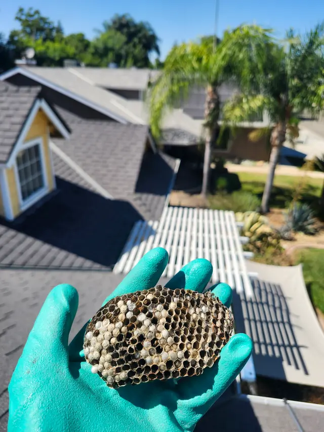 Valley Integrated Pest Control — customer photo 12