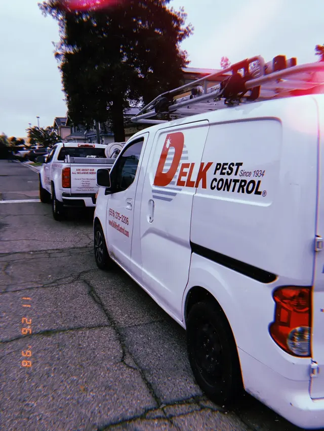 Delk Pest Control — photo from the business 3