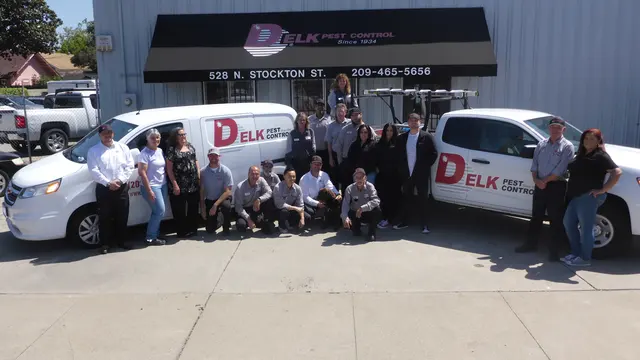 Delk Pest Control — photo from the business 1