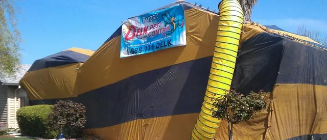 Delk Pest Control — photo from the business 11