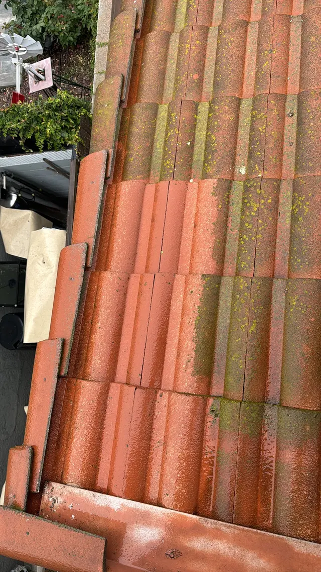 Elite Troop Pressure Washing & Painting — photo from the business 2