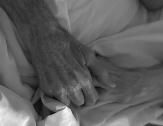 Aegis Home Health & Hospice — photo from the business 3