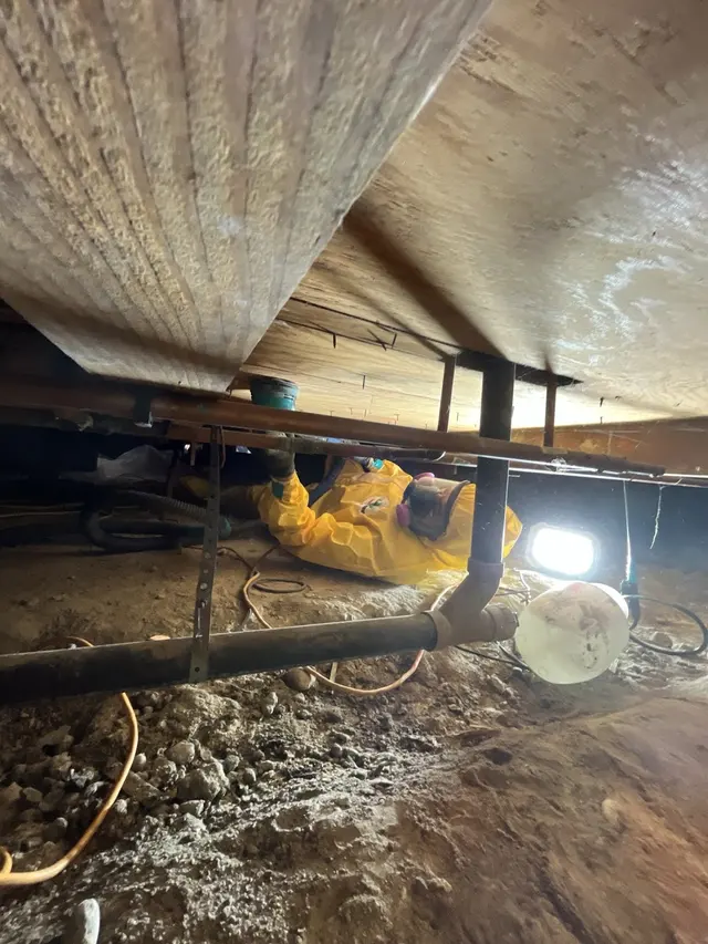 A2Z Restoration — photo from the business 5
