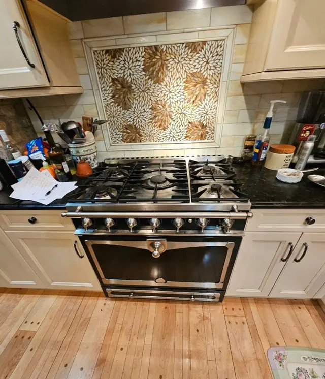 Aslan Appliance Repair — photo from the business 3