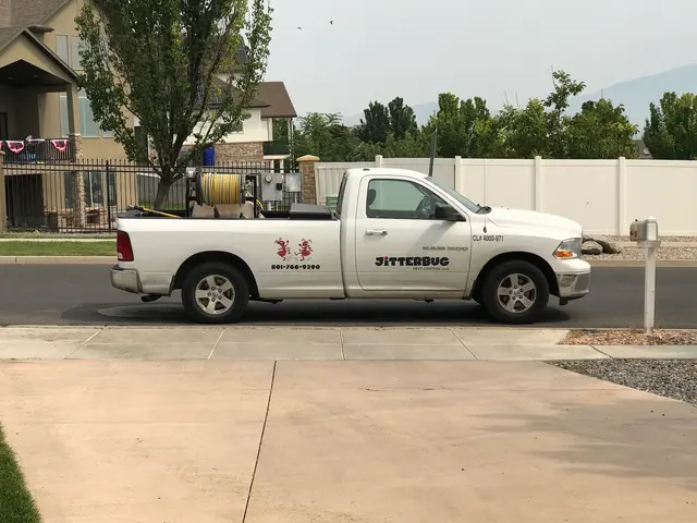 Jitterbug Pest Control — customer photo 1