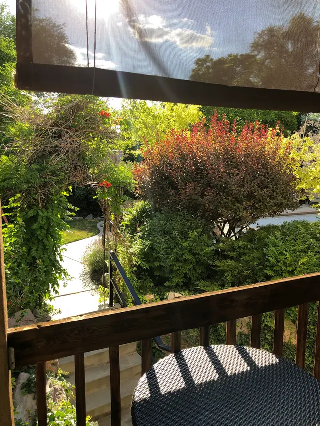 Jitterbug Pest Control — customer photo 3