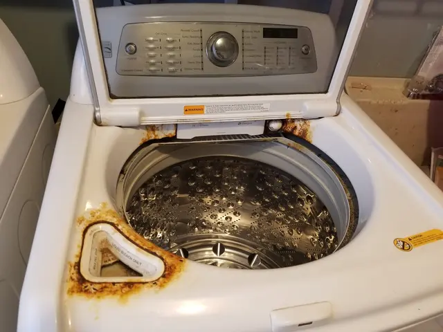 Local Home Appliance — photo from the business 8