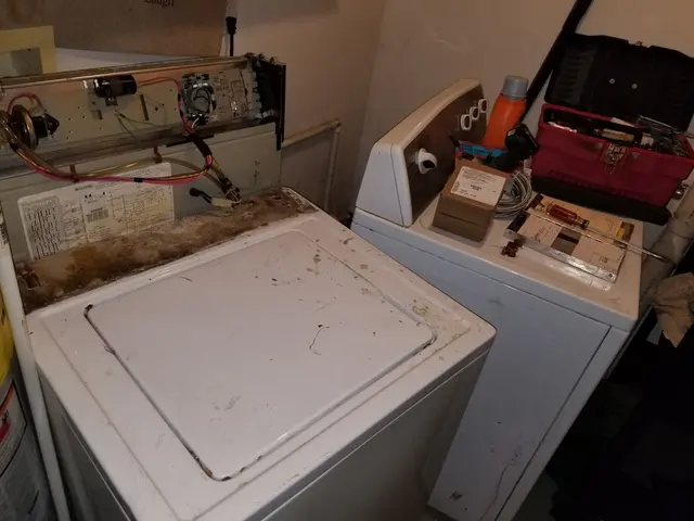 Local Home Appliance — photo from the business 12