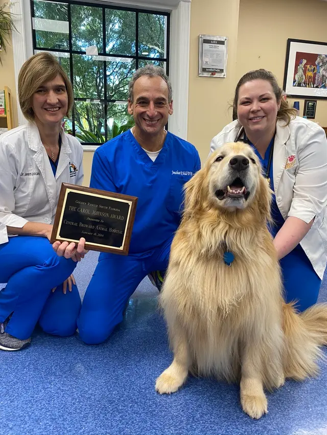 Central Broward Animal Hospital — photo from the business 4