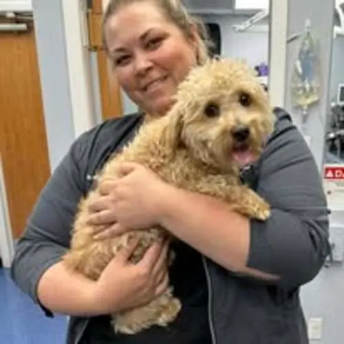 Central Broward Animal Hospital — photo from the business 9