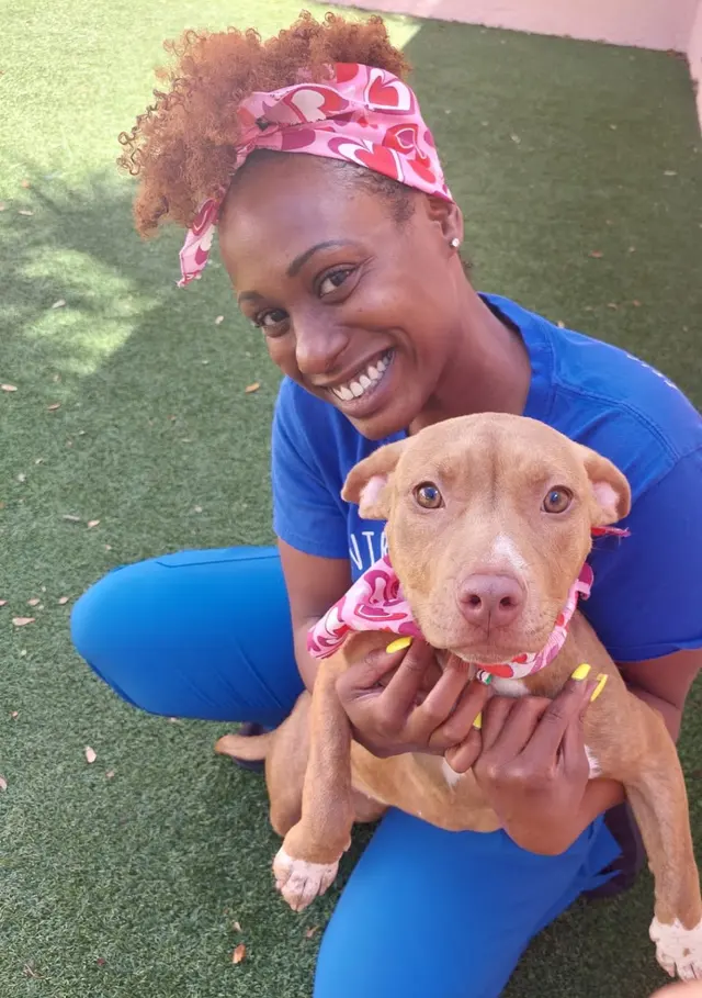 Central Broward Animal Hospital — photo from the business 10