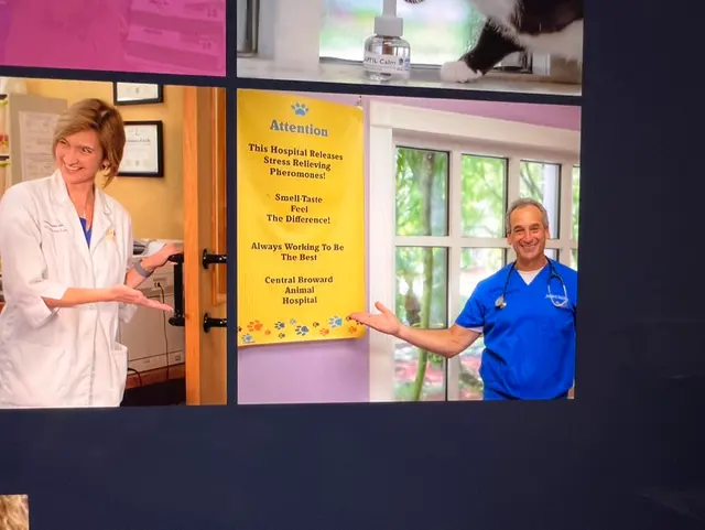 Central Broward Animal Hospital — photo from the business 7