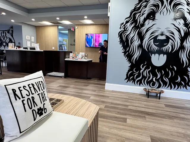 Customer photo of work by Premium Vet Care - Mobile Animal Hospital, from LAW Graphics's review