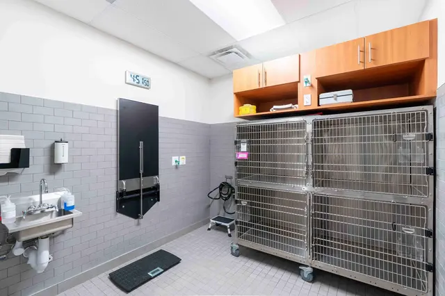 VEG ER for Pets — photo from the business 3
