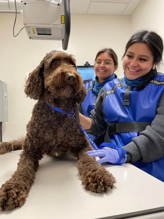 VEG ER for Pets — photo from the business 5