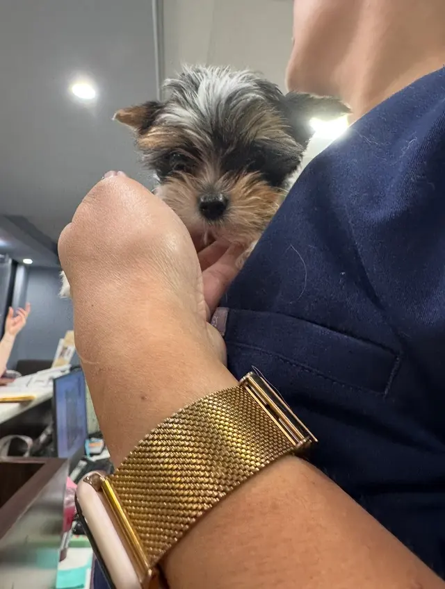 PAWS Veterinary Center — photo from the business 12