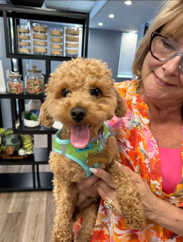 PAWS Veterinary Center — photo from the business 9