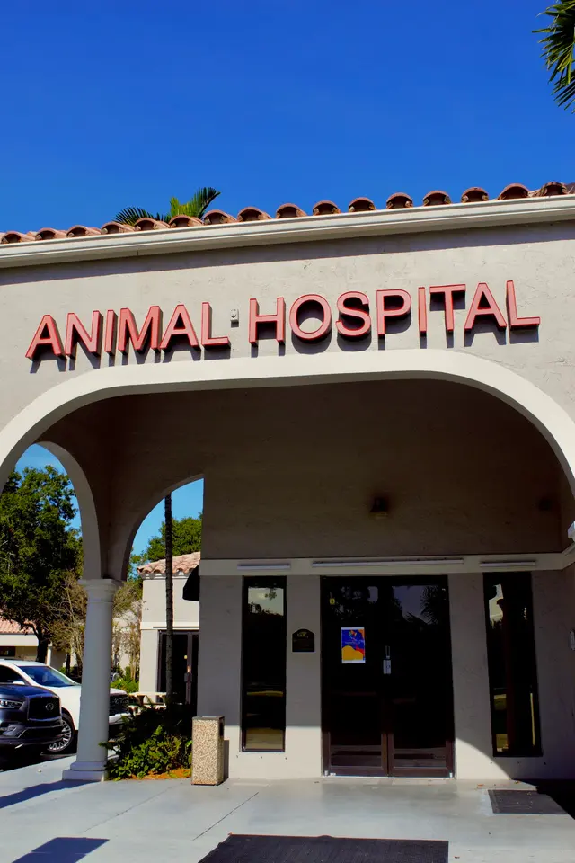PAWS Veterinary Center — photo from the business 1