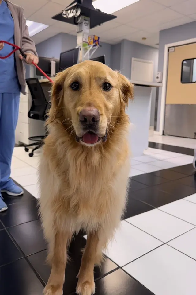 PAWS Veterinary Center — photo from the business 4