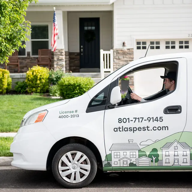 Atlas Pest Services — photo from the business 11