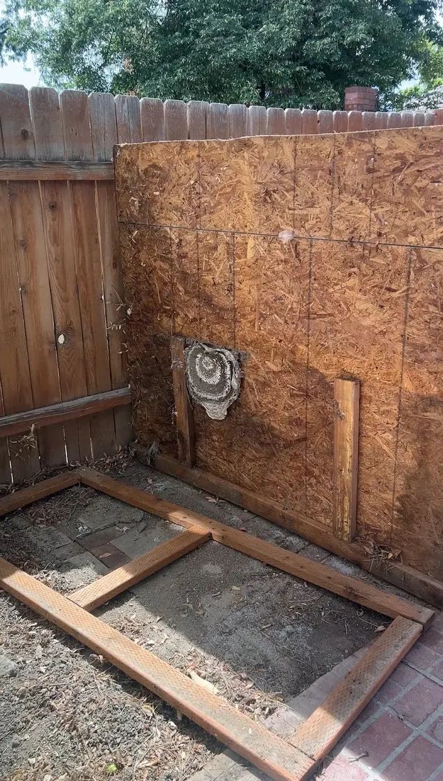Atlas Pest Services — customer photo 6