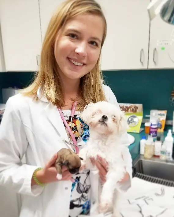 Welleby Veterinary Hospital — photo from the business 4