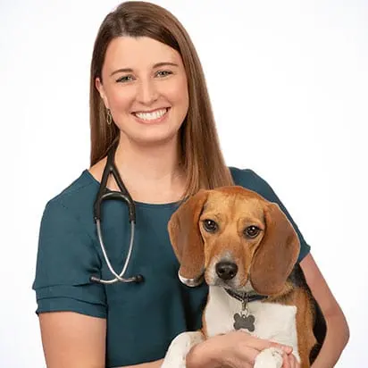 Welleby Veterinary Hospital — photo from the business 5