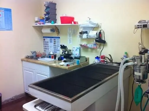 Scarbrough Animal Hospital — photo from the business 11