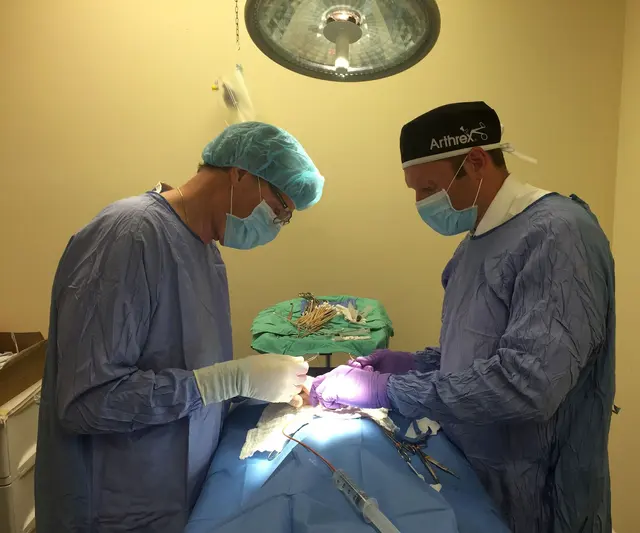 Scarbrough Animal Hospital — photo from the business 8