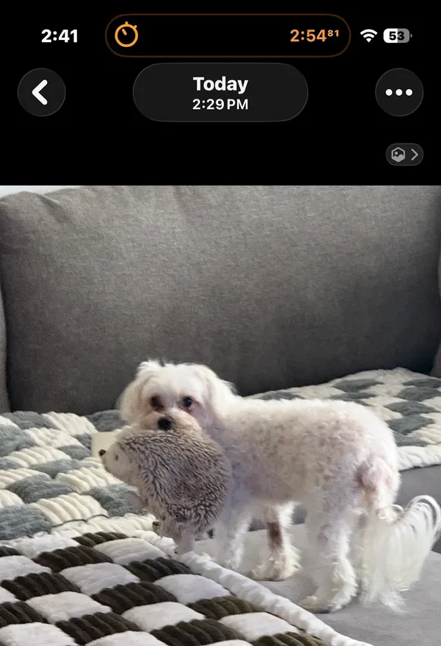 Scarbrough Animal Hospital — customer photo 12