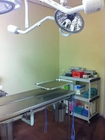Scarbrough Animal Hospital — photo from the business 7