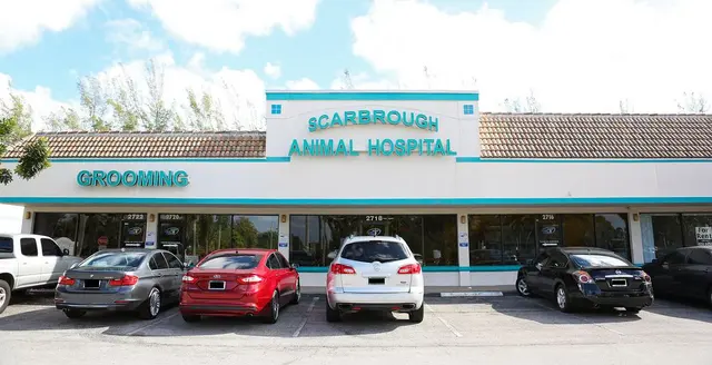 Scarbrough Animal Hospital — photo from the business 5