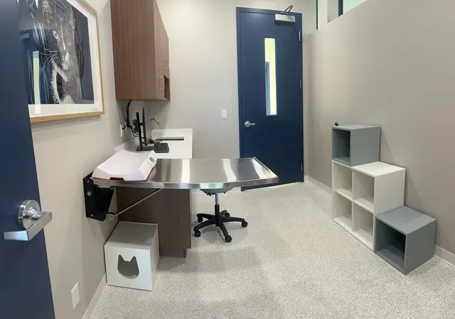 Lakeside Animal Hospital & Veterinarian - Plantation — photo from the business 12