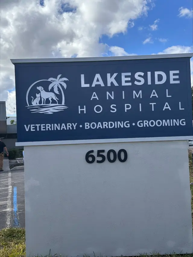 Lakeside Animal Hospital & Veterinarian - Plantation — photo from the business 1